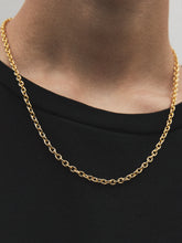 画像をギャラリービューアに読み込む, 2WAY MASK CHAIN LARGE
